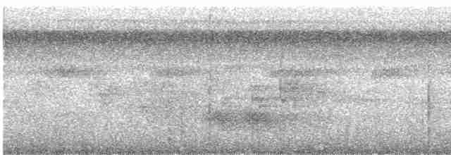 Turuncu Gözlü Yassıgaga - ML287978141