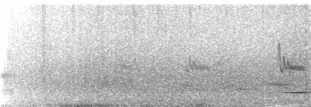 Graumantel-Brillenvogel - ML288078251
