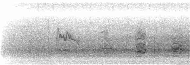 Graumantel-Brillenvogel - ML288078261