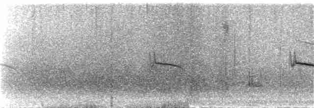 Graumantel-Brillenvogel - ML288078271