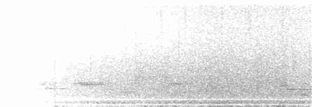 Méliphage carillonneur - ML288078401