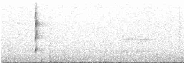 Rufous Spinetail (meridana) - ML288104