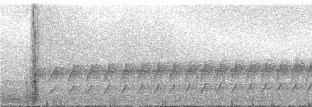 Тапакуло меридійський (підвид fuscicauda) - ML288113
