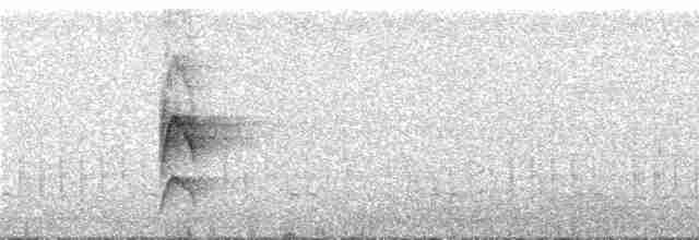 Меридский тапакуло (fuscicauda) - ML288126