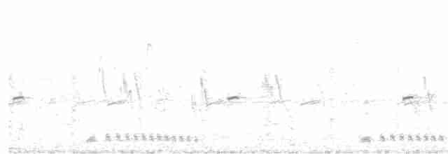 jeřáb kanadský - ML28817081