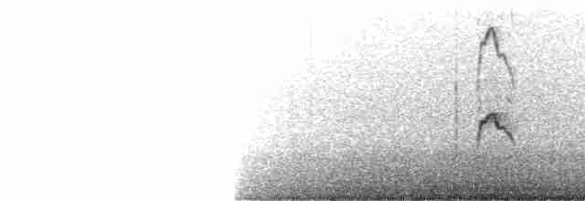 白腰燕鷗 - ML288189241