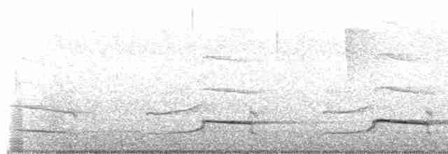 Gray Hawk - ML288254111