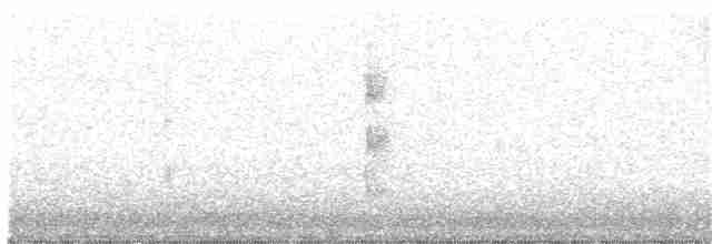 Малая чайка - ML288278161