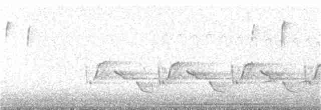 Каролинский крапивник - ML288300121