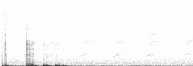 Graukappen-Todityrann - ML288321181