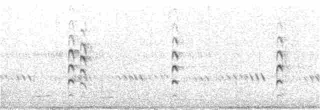 Cisticole paresseuse - ML288384131