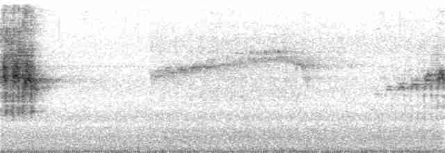 Сова-голконіг гігантська - ML288433451