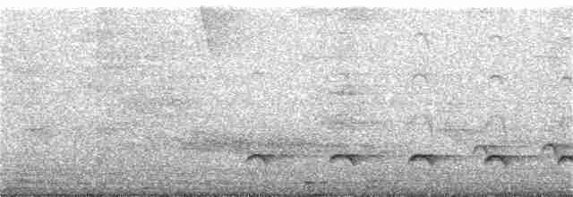 Olivgrau-Ameisenvogel - ML288438431