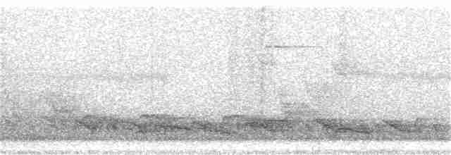 White-necked Laughingthrush - ML288441721
