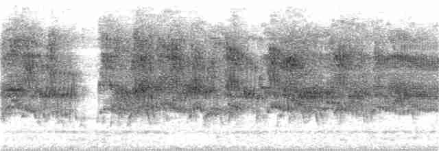 Cratérope roussâtre - ML288453851