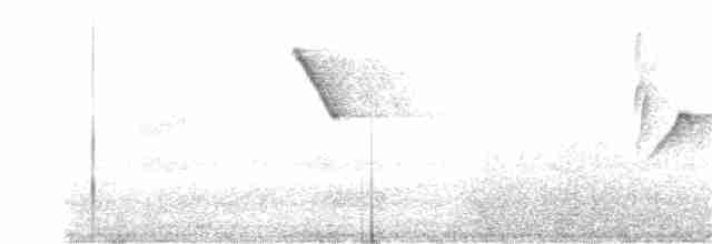 Атласная нектарница - ML288461901