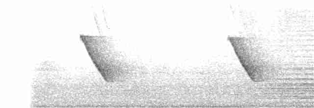 Common Tailorbird - ML288467741