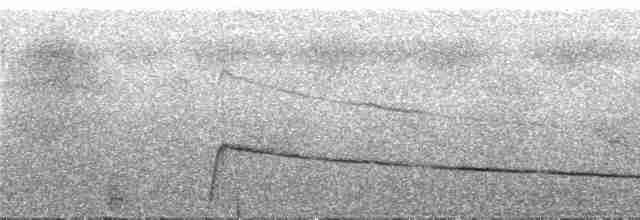 Желтоклювый кракс - ML288482