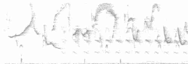 Grauschwanz-Dickichtschlüpfer - ML288540511