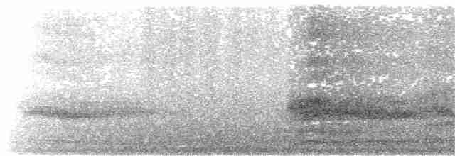 Гребенечуб андійський - ML288657031