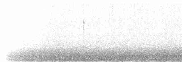 Black-throated Gray Warbler - ML288757981