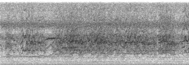Conure verte (holochlorus/brewsteri) - ML288831