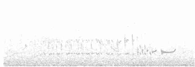 Короткоклювый бекасовидный веретенник - ML28888371