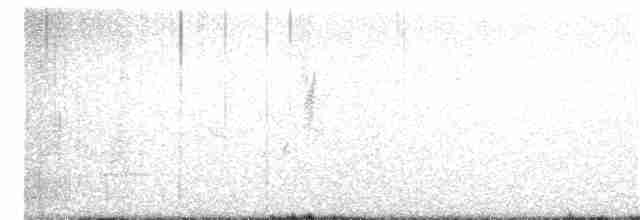 Klappergrasmücke (halimodendri) - ML288901901