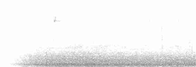 Дроздовый певун - ML28892801