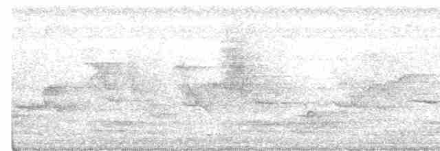 Indian Paradise-Flycatcher - ML288929381