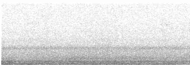 Puna Thistletail - ML289045021