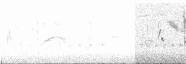 Kara Suratlı Çalı Serçesi - ML289056491