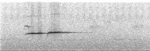 Gri Sırtlı Bülbül Ardıcı - ML289141