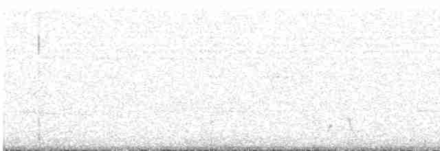 Lichtenstein's Sandgrouse - ML289144201