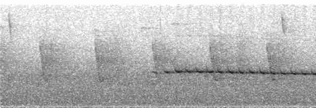 Graukappen-Ameisenpitta [nana-Gruppe] - ML289146