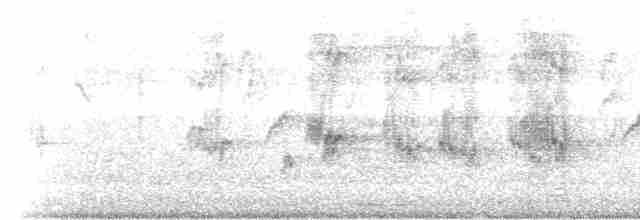 Black-browed Reed Warbler - ML289183891