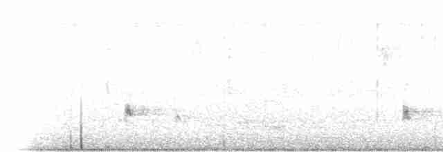 Black-browed Reed Warbler - ML289183901