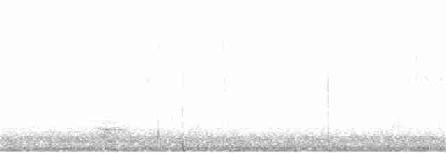 Лебідь чорнодзьобий - ML289215631