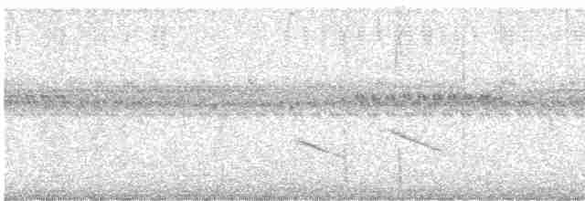 Ошейниковый дятелок - ML289219411