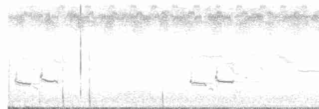 Loggerhead Shrike - ML289254581