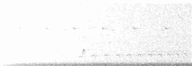 Spot-backed Puffbird (Spot-backed) - ML289293271