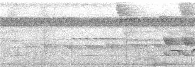 Kurzschwanz-Ameisenvogel - ML289332181