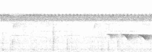 Kurzschwanz-Ameisenvogel - ML289334401