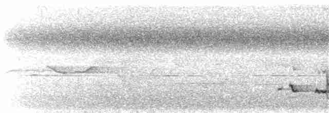 Gray-chested Babbler - ML289349421