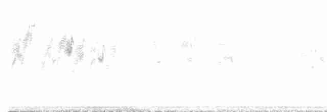 rorýs bělokrký - ML289488711