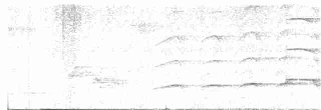 Орел-чубань індійський - ML289520821
