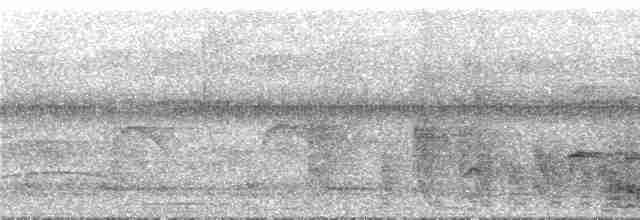 Бурокрылая чачалака - ML289567
