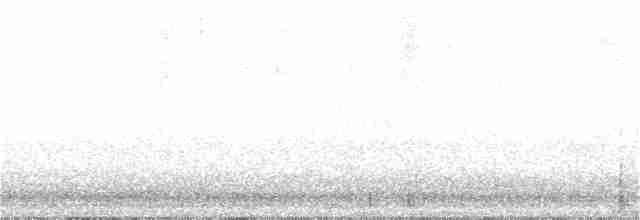hvitbrynsvartspett - ML289671881
