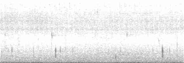 White-throated Treerunner - ML289674361