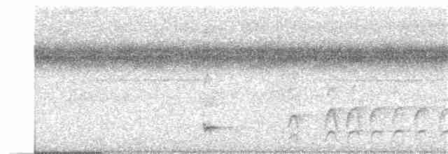 Bändernachtschwalbe - ML289710811